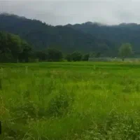 ۶۰۰ متر زمین نزدیک اتوبان