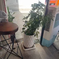 جوشکاری سیار خودمونی