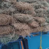 یونجه|عمده‌فروشی|چالدران, |دیوار