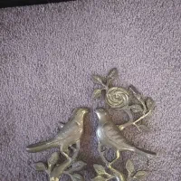 گنجشگ برنزی جفتش ۲میلیون