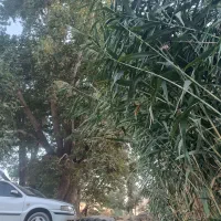 رهن کامل طبقه بالا