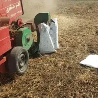 کاه قارادنه