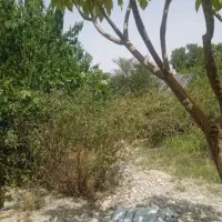 زمین ویلایی سرخون