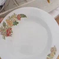 بشقاب