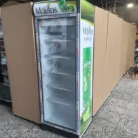 یخچال ایستاده پن/دستگاه خمیرگیرFg/فریزر صندوقی سان