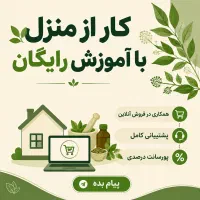 فرصت درآمدزایی در منزل