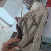 کفش کتونی
