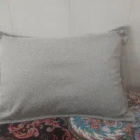 روبالشتی