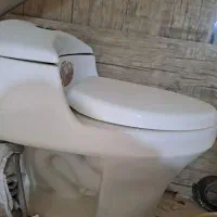 سرویس بهداشتی