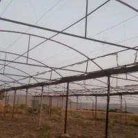 فروش گلخانه