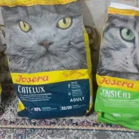 غذای گربه