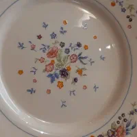 فروش وخریدار انواع ارکوپال ویکتوریا الیسیا ویتا