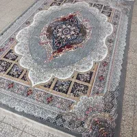عارف نقره ای  اقتصادی