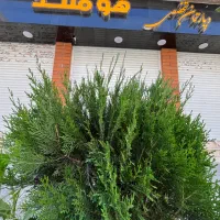 فروش-واحد-65-متری-شهرک-قدس