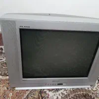 تلویزیون