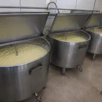 کره گاوی دوغی،روغن زرد،پرداخت درب منزل
