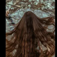 خرید،فروش(موطبیعی و تضمینی)