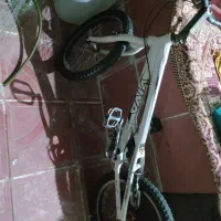 دوچرخه