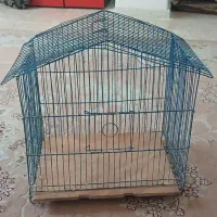 قفس پرنده مرغ عشق....