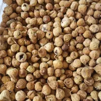 انجیر ارگانیک و تازه استهبان