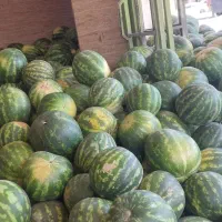 یک نفر جوان جهت صندوق داری وترازو داری نیازمندیم