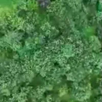 زمین-با-مجوز-ساخت-دو-طبقه-و-دو-نبش-و-نقلی