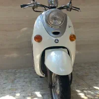 پاکشتی وینو