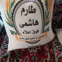 طارم هاشمی فوق ممتاز