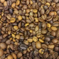 خریدار قهوه رست شده زیر ۱.۲۰۰ هستم