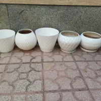 تعدادی گلدان سفالی و پلاستیکی