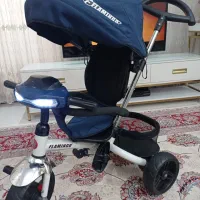 سه چرخه فلامینگو