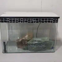 آکواریوم شرکتی با وسایل