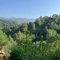زمین ۲۵۰ متری داخل طرح ویودار در اطاقور
