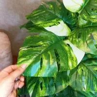 حراج درختچه مصنوعی ۱۲۰ سانتی