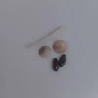 استخاره