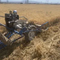 دستگاه درو گندم برای درو کردن گندم جو