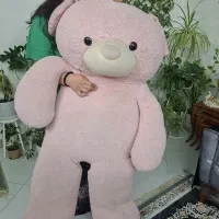 خرس بزرگ