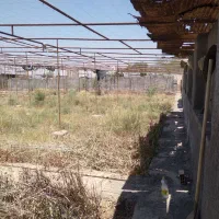 باغ گلخانه