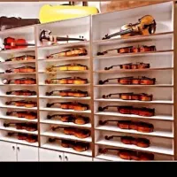 آموزش خصوصی نوازندگی ویولن آپادانا