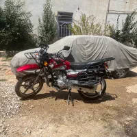 2عدد احسان شکاری 150 کارمندی