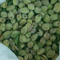 بادام سنگی کیلویی ۱۵۰ هزار تومن