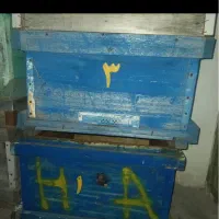 کندوی زنبور عسل