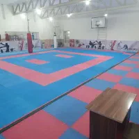 دعوت به همکاری مربیان رزمی و...