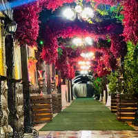 تشریفات گلهای ایرونی