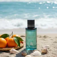 طراحی|خدمات رایانه‌ای و موبایل|تهران, دکتر هوشیار|دیوار