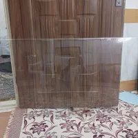 طلق محافظ تلویزیون