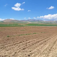 زمین زارعی بره جاده جهت فروش واجاره