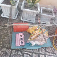 قفس و سیم توری برای پرندگان