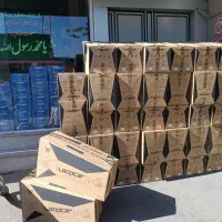 لوپ کار چراغدار اصلی