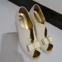کفش مجلسی